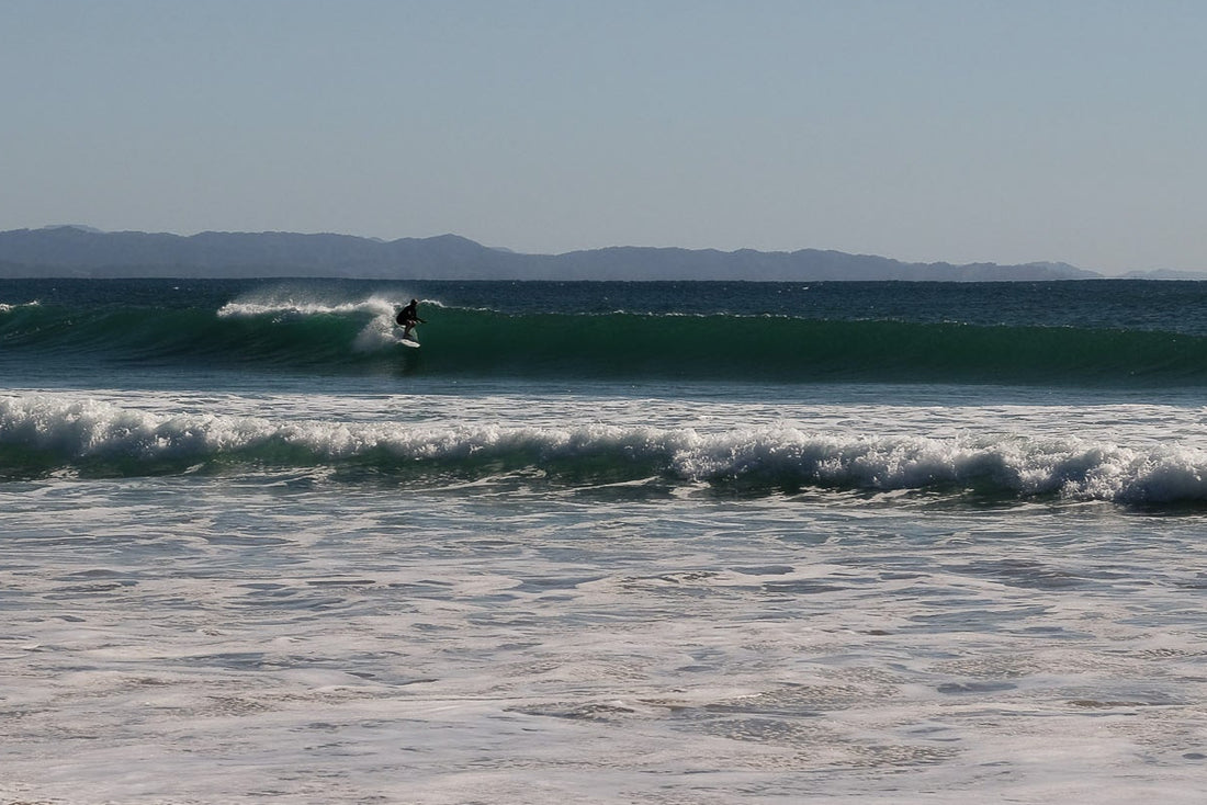 Jack Lynch x Paul McNeil x Brown Microwave Television Bonzer