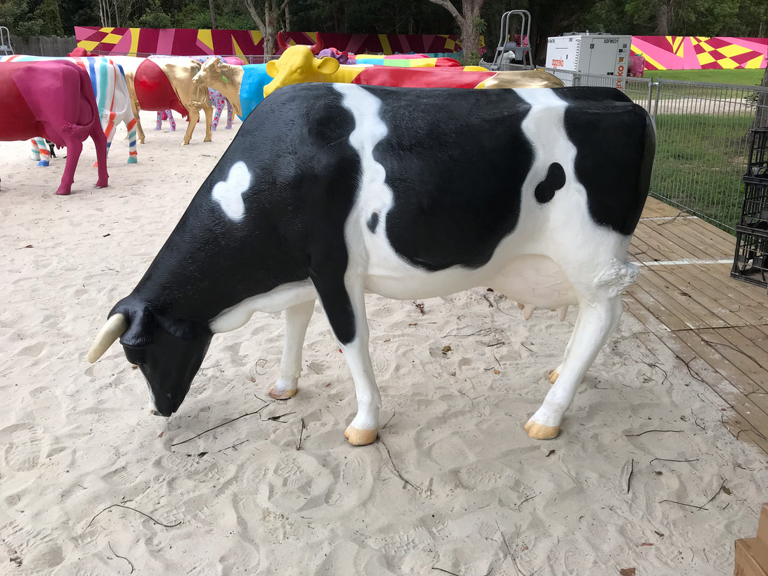 Cowlick #3