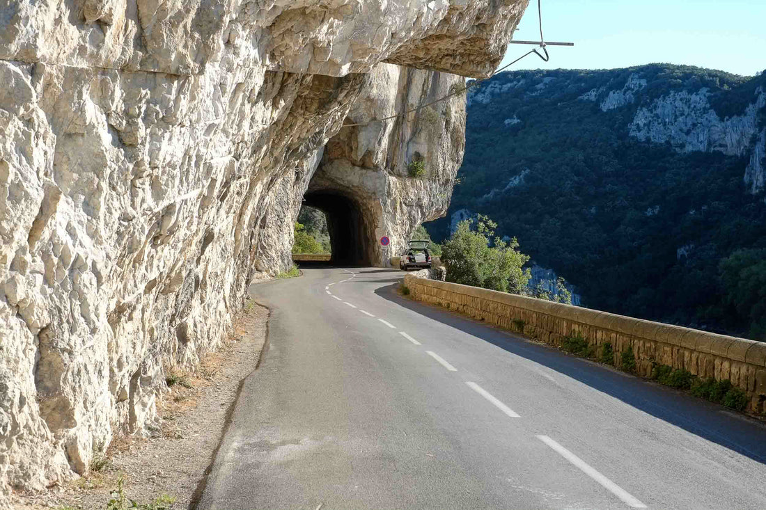 La Grotte Chauvet-Pont-d'Arc