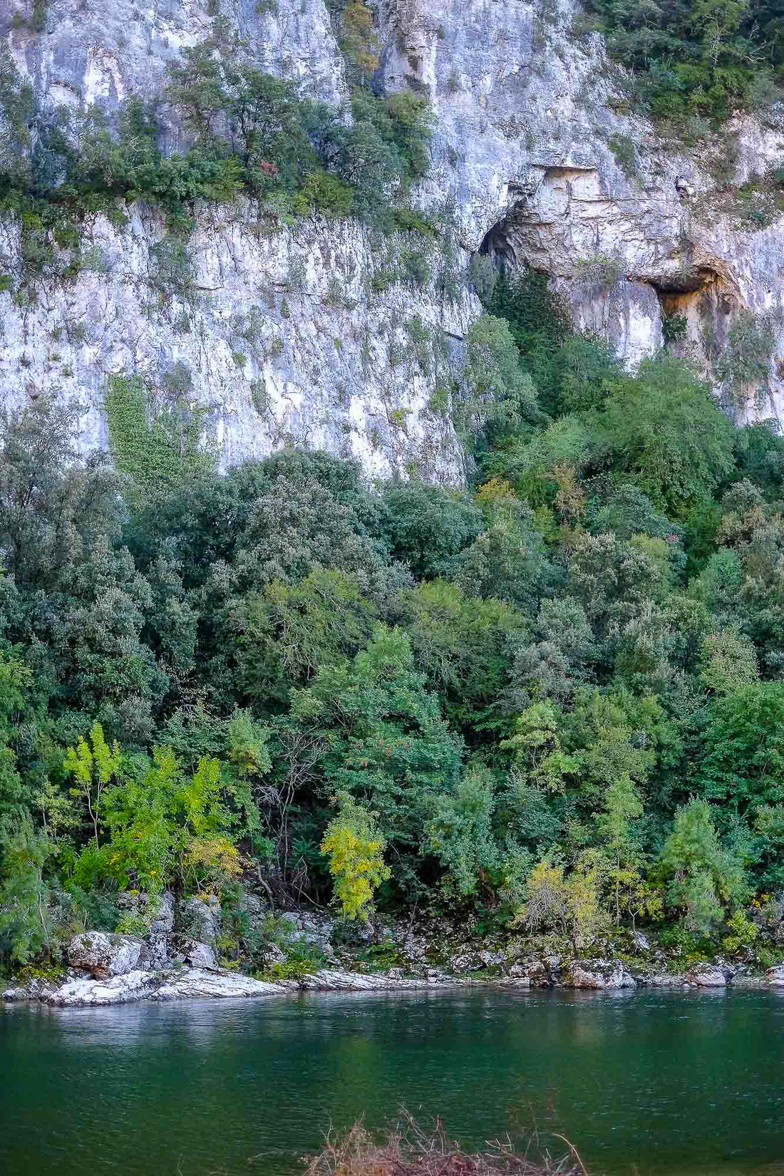 La Grotte Chauvet-Pont-d'Arc