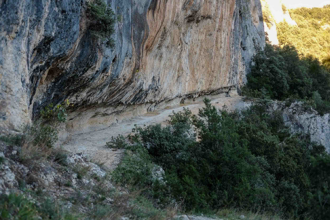 La Grotte Chauvet-Pont-d'Arc