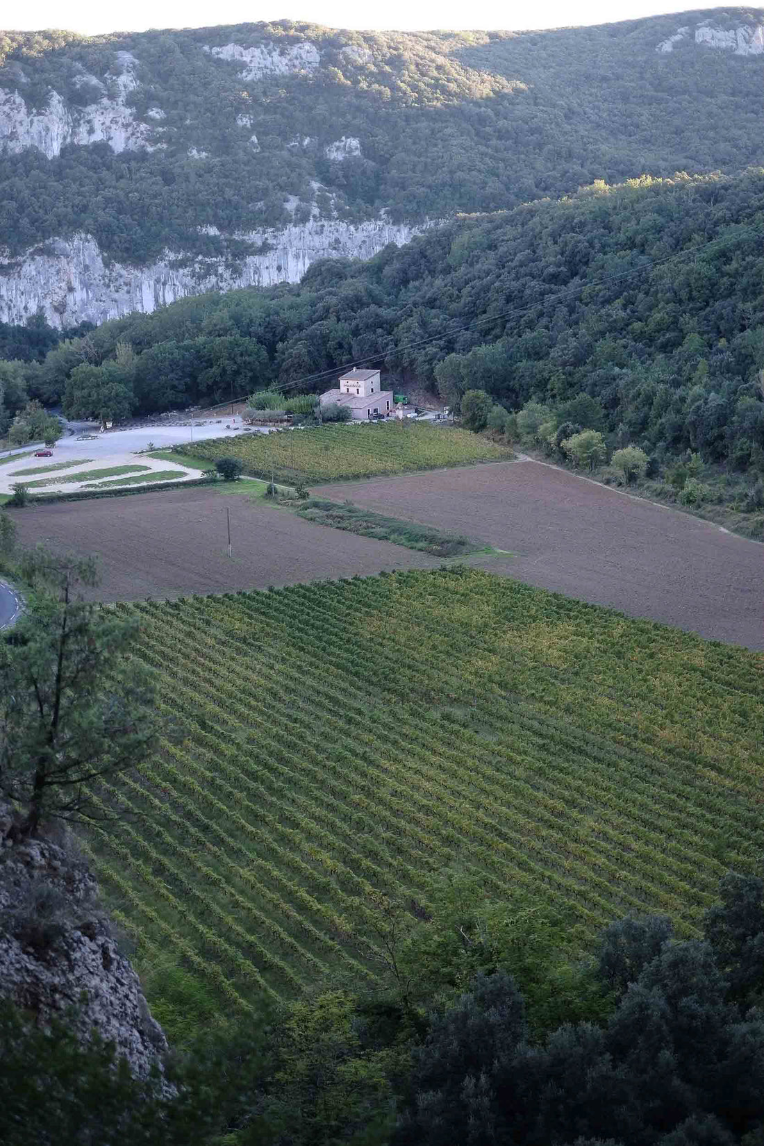 La Grotte Chauvet-Pont-d'Arc