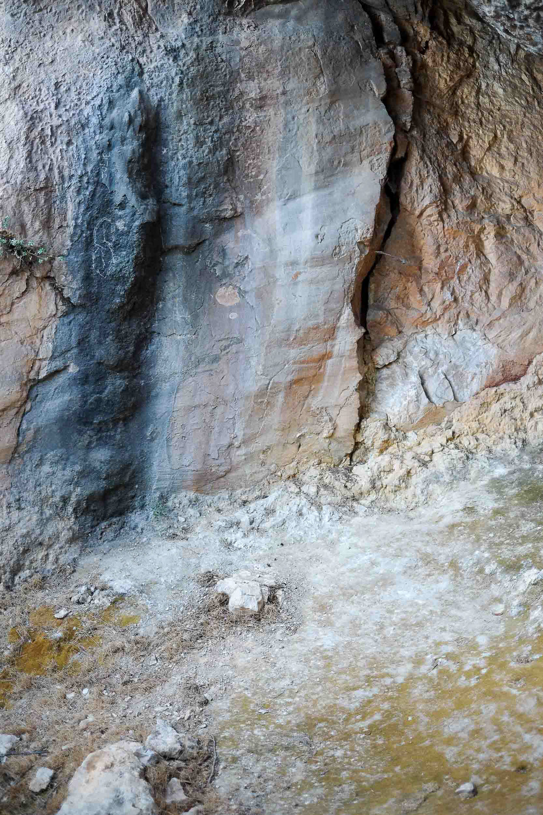 La Grotte Chauvet-Pont-d'Arc