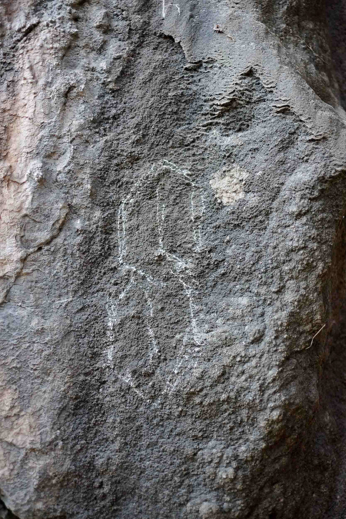 La Grotte Chauvet-Pont-d'Arc
