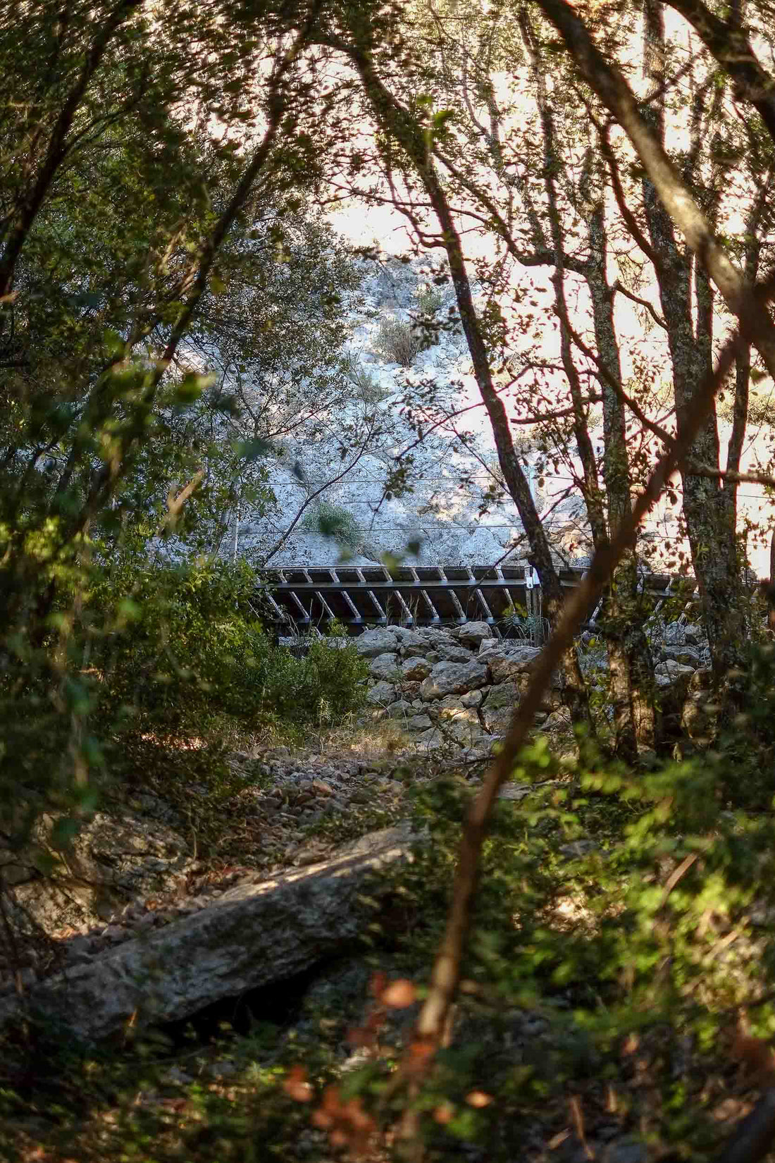 La Grotte Chauvet-Pont-d'Arc
