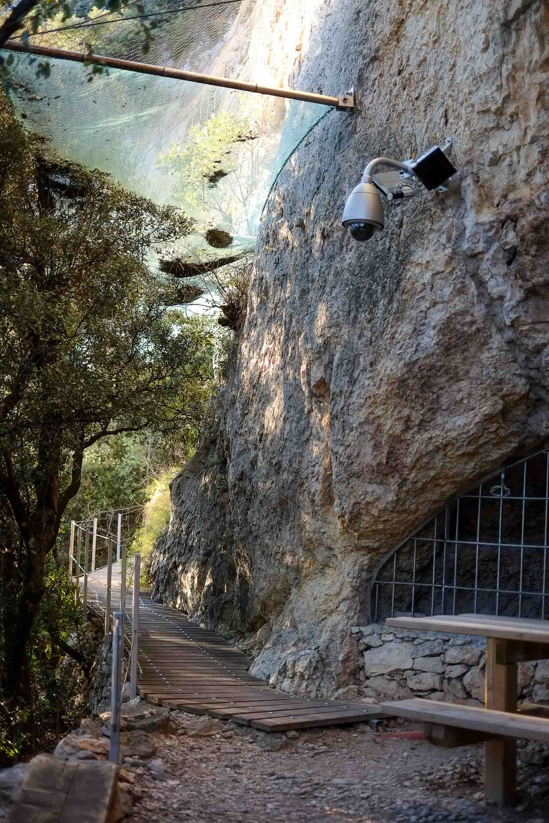 La Grotte Chauvet-Pont-d'Arc