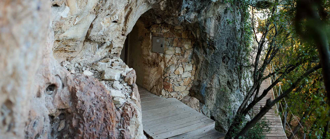 La Grotte Chauvet-Pont-d'Arc