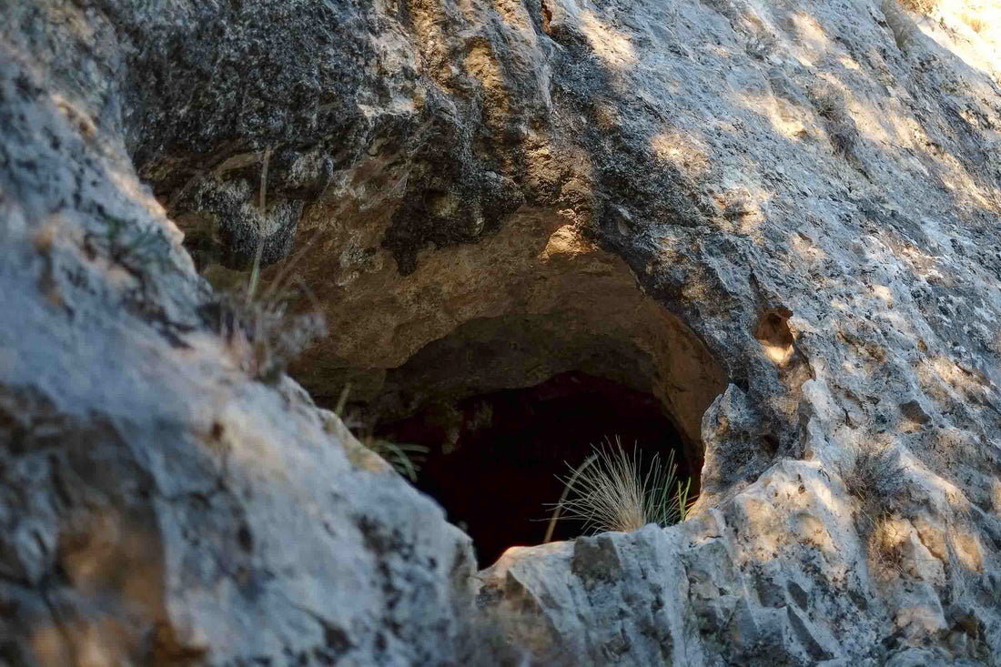 La Grotte Chauvet-Pont-d'Arc