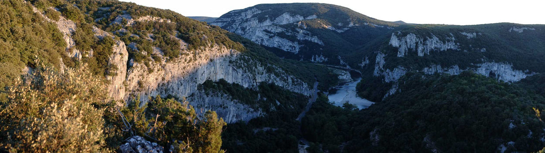 La Grotte Chauvet-Pont-d'Arc