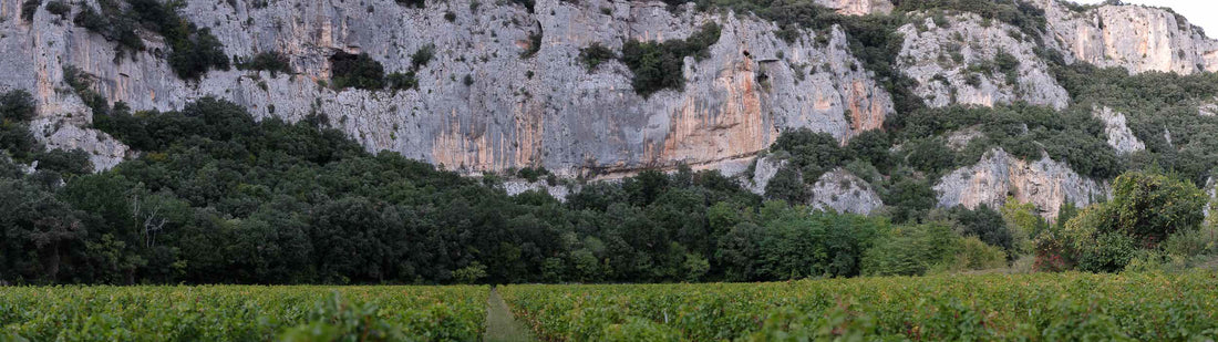 La Grotte Chauvet-Pont-d'Arc