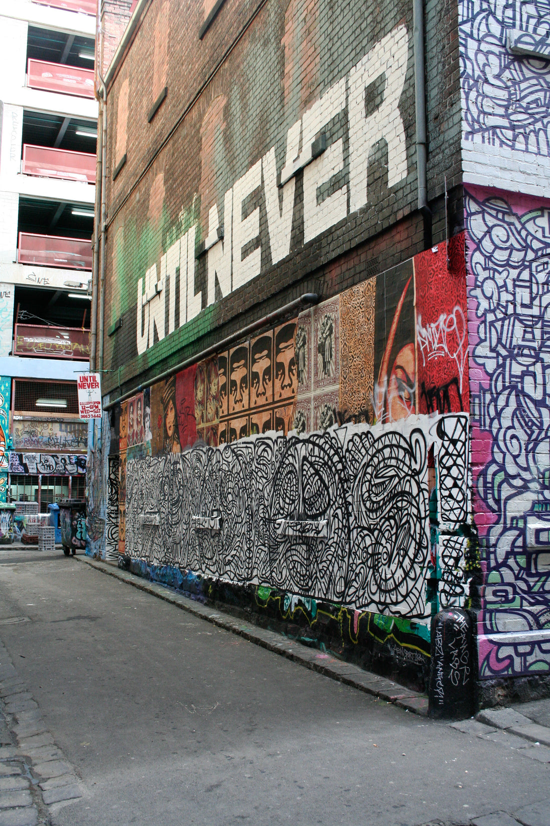 Magnus McTavish Rutledge Lane
