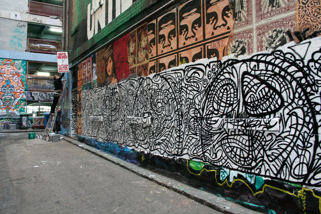 Magnus McTavish Rutledge Lane