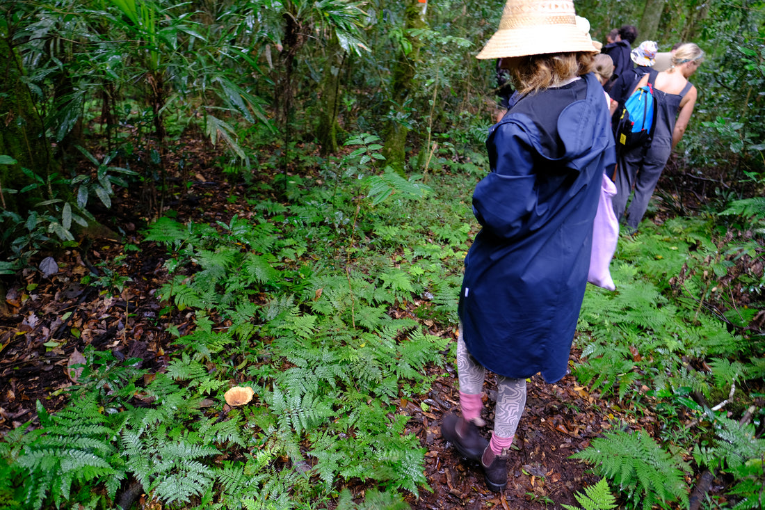 Belly of the World Big Scrub Mushroom Meander