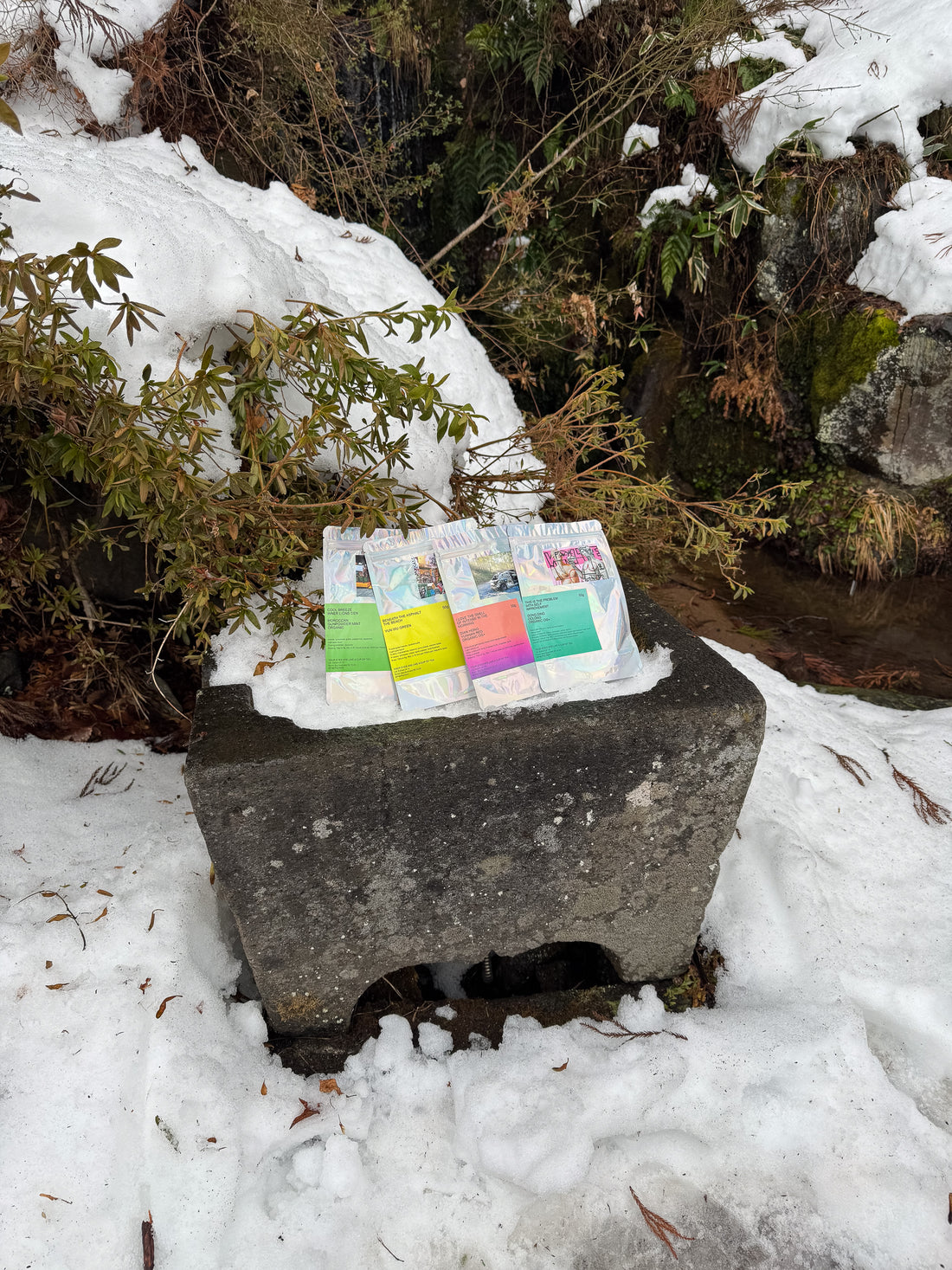 Nozawa Onsen Teahaüs Exploration