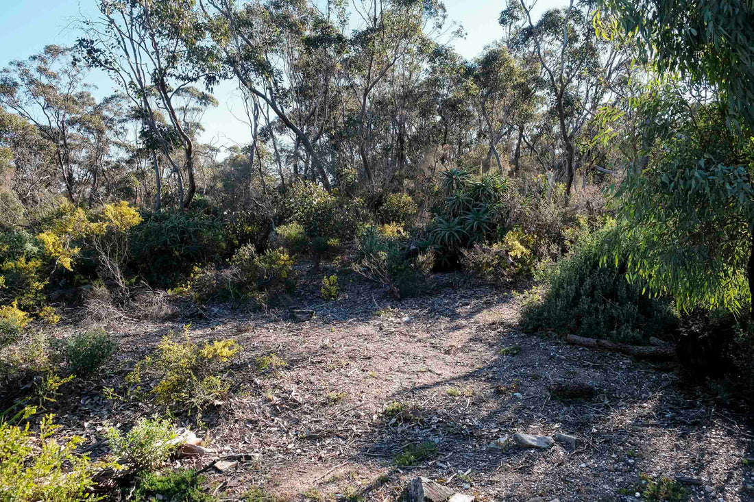 Boyd Baker House, Long Forest, Wurundjeri Country