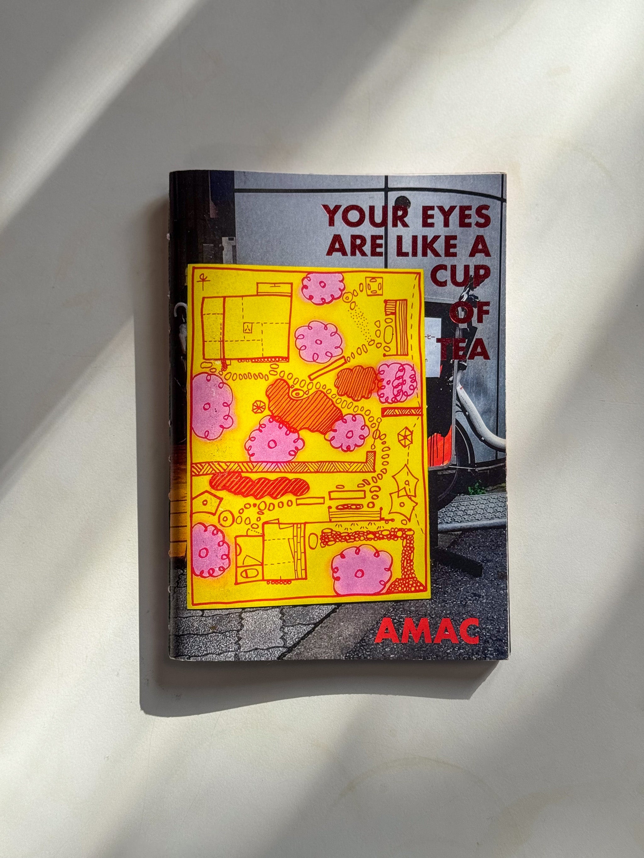 Your eyes are like a cup of tea Zine