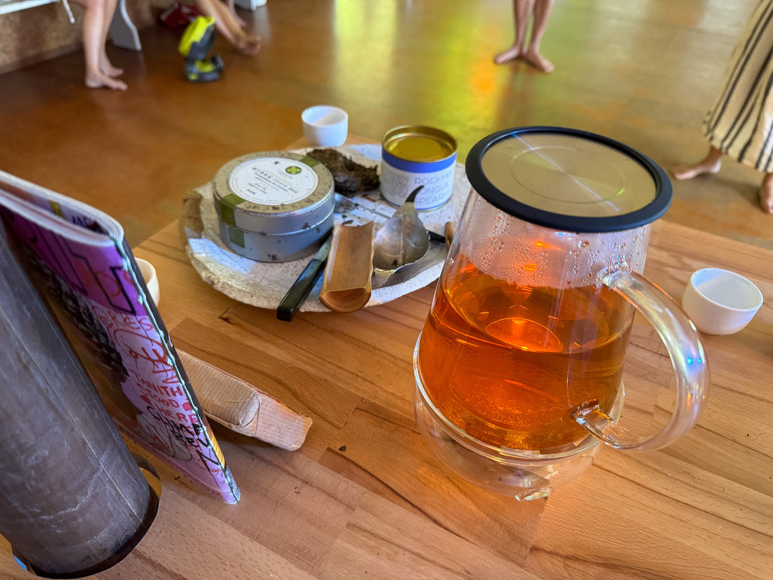 Take it Easy Disco Teahaüs Session